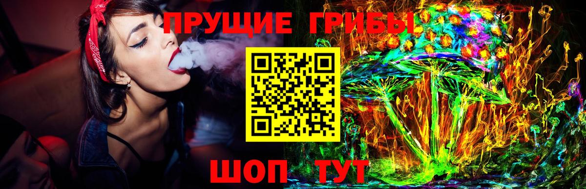 Псилоцибиновые грибы Cubensis Карпинск