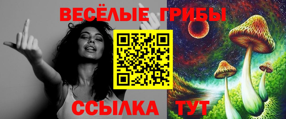 Карпинск  Галлюциногенные грибы Psilocybe  Вход с VPN  Галлюциногенные грибы мухоморы 